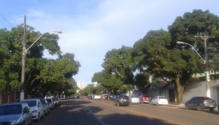 Fungo contamina frutos das mangueiras de MCP com&nbsp;antracnose