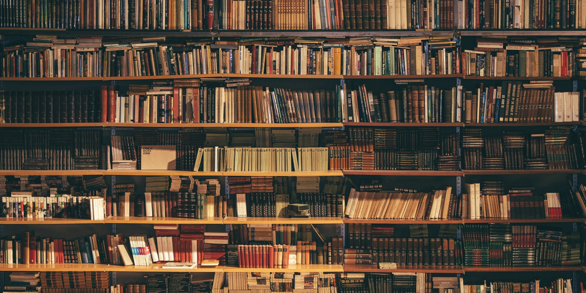 MEUS LIVROS