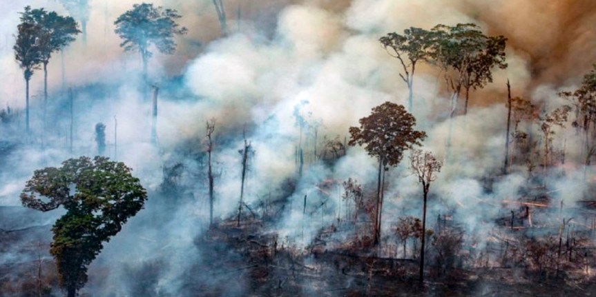 Carbono sufoca Amazônia e expõe danos de mudanças climáticas&nbsp;irreversíveis