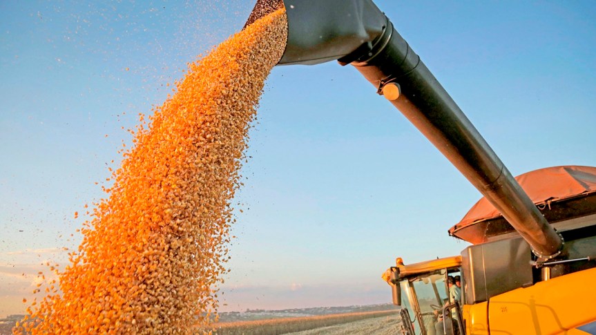 Candidatos da Amazônia exaltam agronegócio, mas não falam de impacto do&nbsp;desmatamento