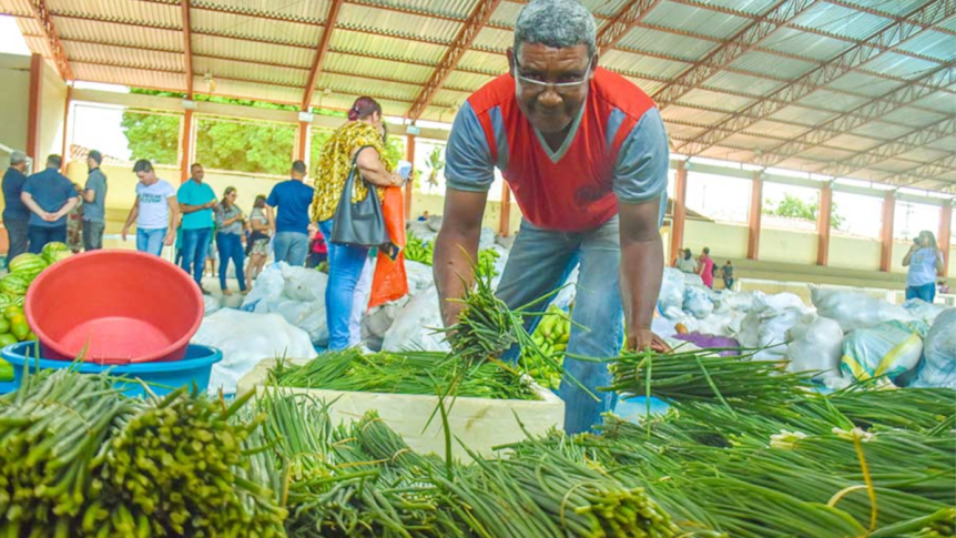 Governo  Clécio Luís investirá R$ 32,7 milhões para alavancar setores agrícolas no&nbsp;Amapá